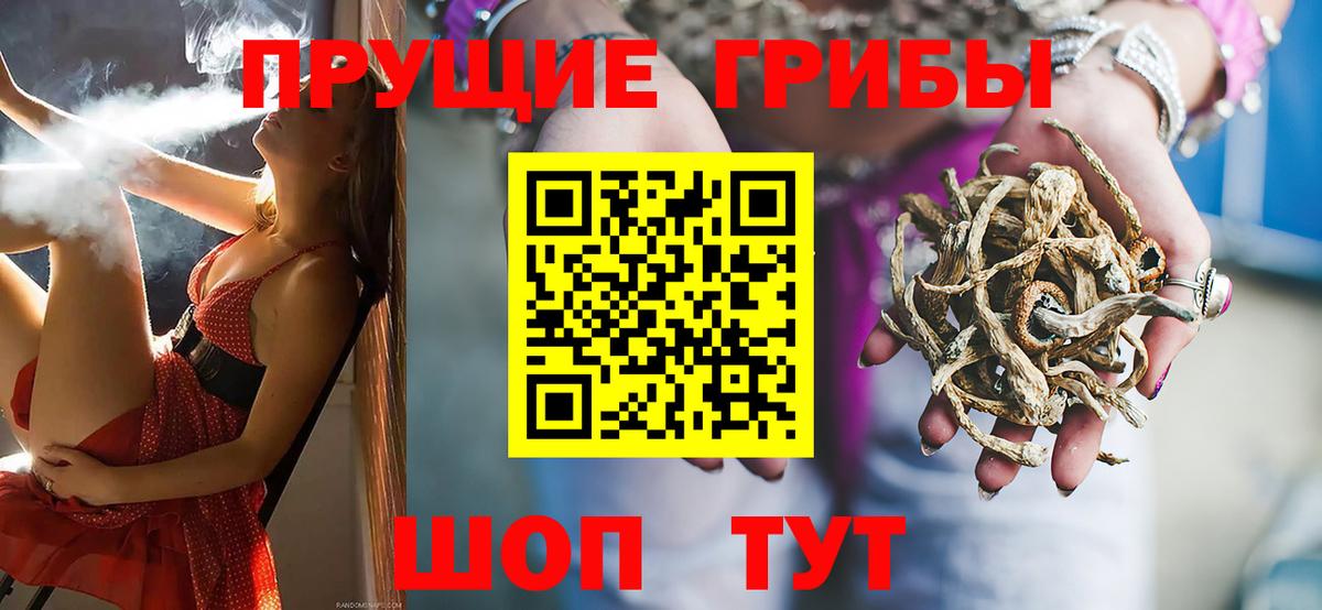 Псилоцибиновые грибы мухоморы  Вход с VPN  где продают   Лыткарино  Псилоцибиновые грибы прущие грибы 